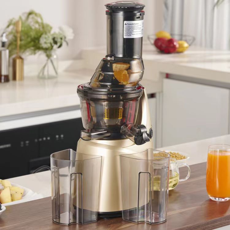 Melhor aço inoxidável 60 domés - Electric Slow Juicer Cold Press avaliação e preço