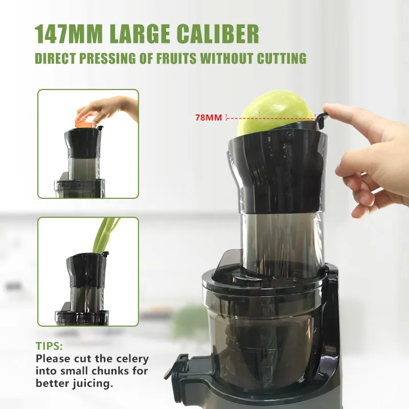 Espremedor de Frutas Cítricas  - Electric Slow Juicer Cold Press avaliação e preço